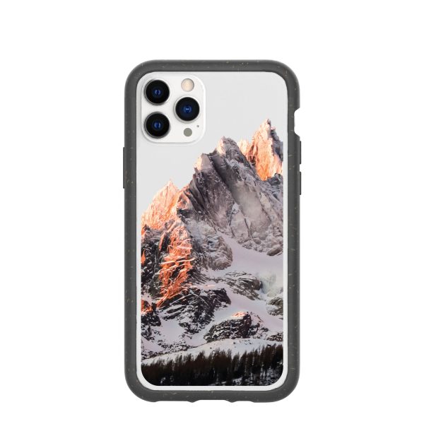 Clear Alps iPhone 11 Pro Case With Black Ridge Supply